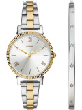 Fossil Daisy Set